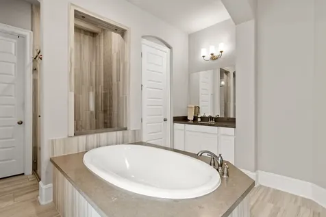 18 Trailing Lantana Place The Woodlands TX 77354