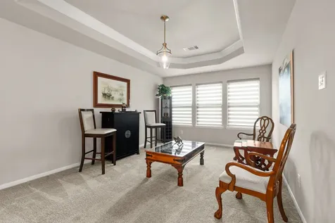 18 Trailing Lantana Place The Woodlands TX 77354