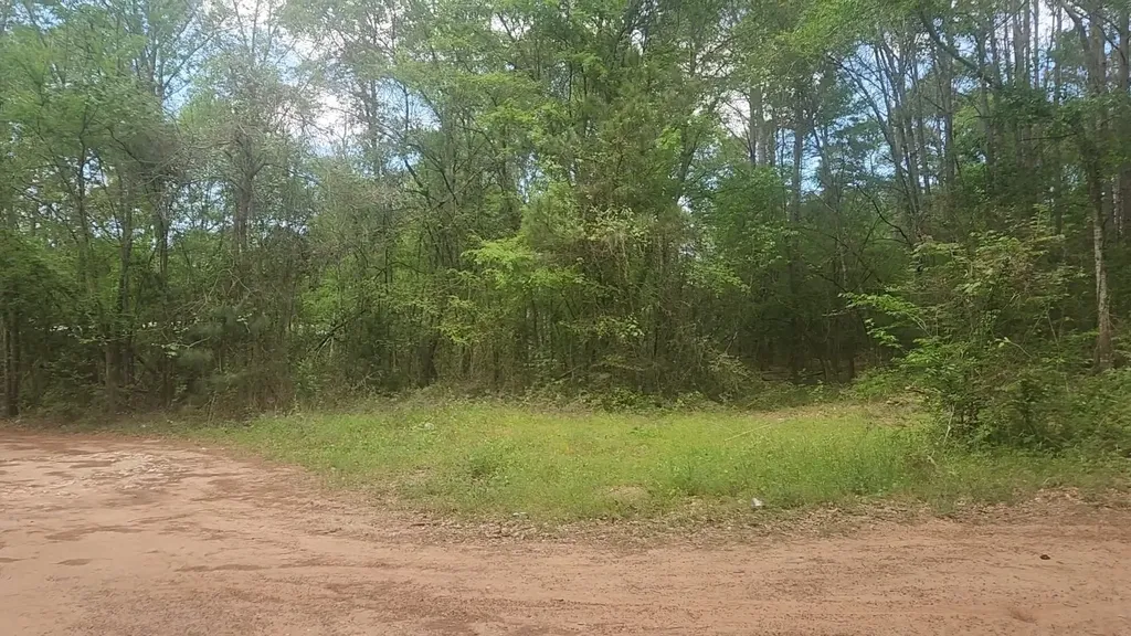 Lot 6 Thornwood Drive Plantersville TX 77363