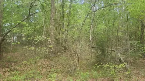 Lot 6 Thornwood Drive Plantersville TX 77363