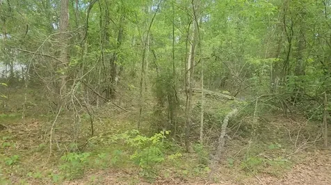 Lot 6 Thornwood Drive Plantersville TX 77363