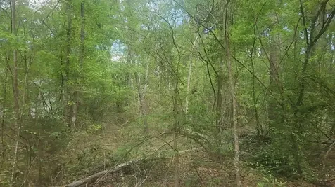 Lot 6 Thornwood Drive Plantersville TX 77363
