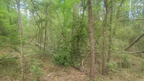 Lot 6 Thornwood Drive Plantersville TX 77363
