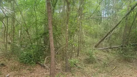 Lot 6 Thornwood Drive Plantersville TX 77363