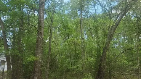 Lot 6 Thornwood Drive Plantersville TX 77363