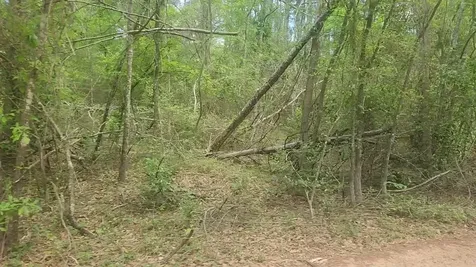 Lot 6 Thornwood Drive Plantersville TX 77363