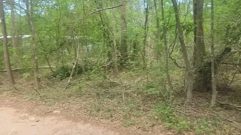 Lot 6 Thornwood Drive Plantersville TX 77363