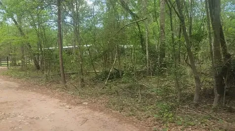 Lot 6 Thornwood Drive Plantersville TX 77363