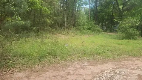 Lot 6 Thornwood Drive Plantersville TX 77363
