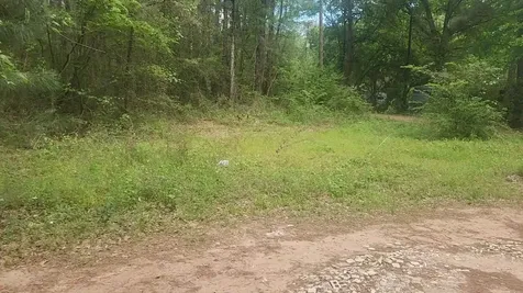 Lot 6 Thornwood Drive Plantersville TX 77363
