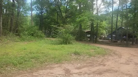 Lot 6 Thornwood Drive Plantersville TX 77363