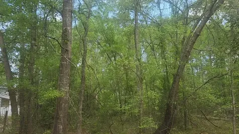 Lot 6 Thornwood Drive Plantersville TX 77363