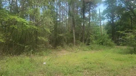 Lot 6 Thornwood Drive Plantersville TX 77363