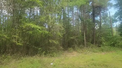 Lot 6 Thornwood Drive Plantersville TX 77363