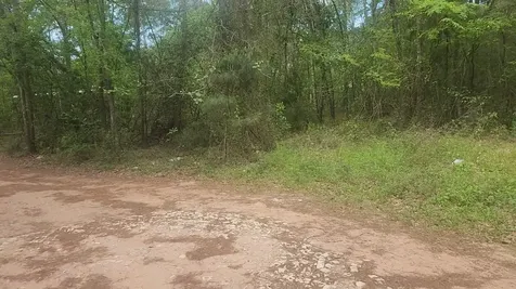 Lot 6 Thornwood Drive Plantersville TX 77363