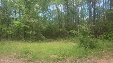 Lot 6 Thornwood Drive Plantersville TX 77363