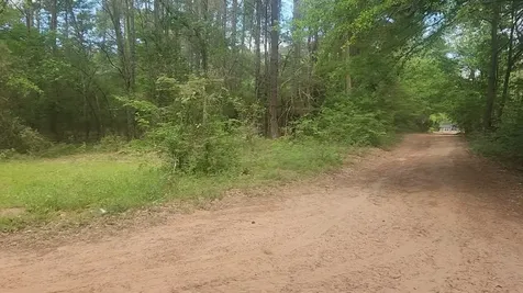 Lot 6 Thornwood Drive Plantersville TX 77363