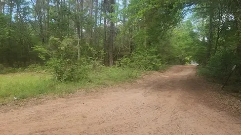 Lot 6 Thornwood Drive Plantersville TX 77363
