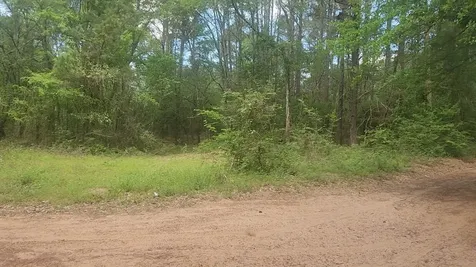 Lot 6 Thornwood Drive Plantersville TX 77363