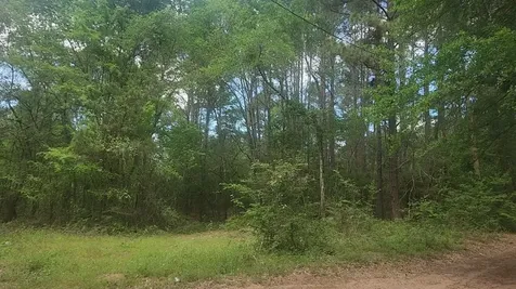 Lot 6 Thornwood Drive Plantersville TX 77363