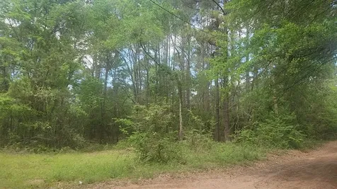 Lot 6 Thornwood Drive Plantersville TX 77363