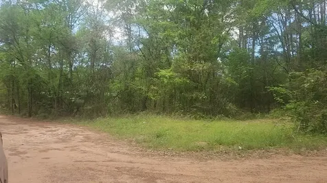 Lot 6 Thornwood Drive Plantersville TX 77363