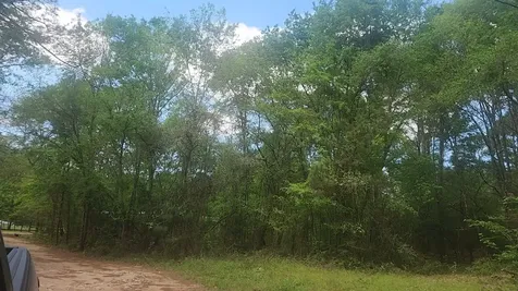 Lot 6 Thornwood Drive Plantersville TX 77363