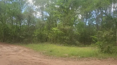 Lot 6 Thornwood Drive Plantersville TX 77363