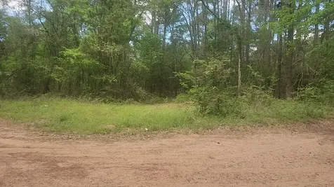 Lot 6 Thornwood Drive Plantersville TX 77363