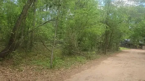 Lot 6 Thornwood Drive Plantersville TX 77363