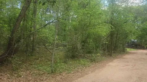 Lot 6 Thornwood Drive Plantersville TX 77363