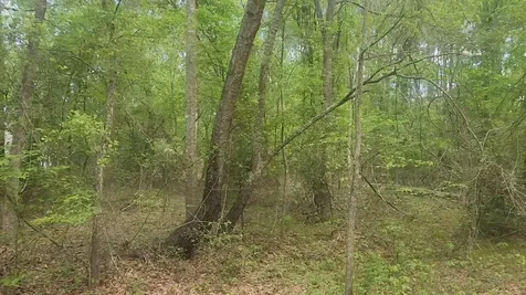 Lot 6 Thornwood Drive Plantersville TX 77363