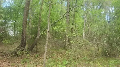 Lot 6 Thornwood Drive Plantersville TX 77363