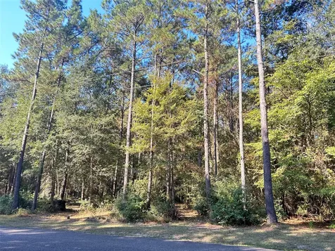 24445 Pipestem Drive Magnolia TX 77355