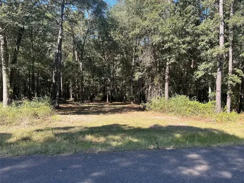 24445 Pipestem Drive Magnolia TX 77355
