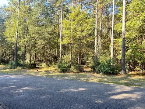 24445 Pipestem Drive Magnolia TX 77355