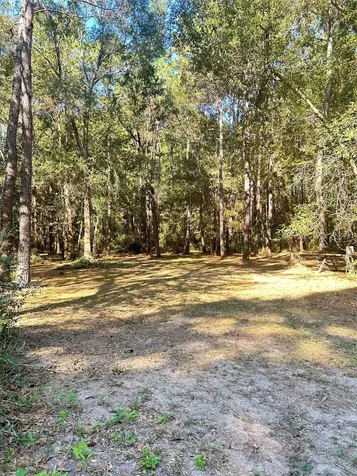 24445 Pipestem Drive Magnolia TX 77355