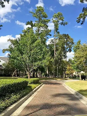 20188 Aldens Oak Kingwood TX 77339