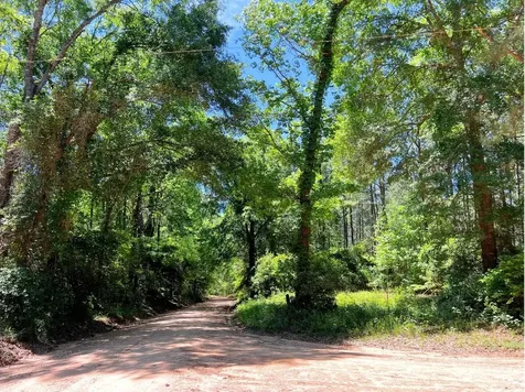000 Morris Lane Livingston TX 77351