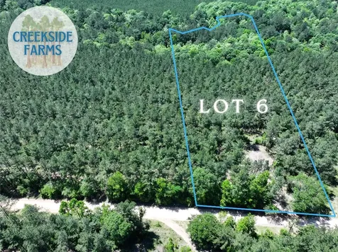 000 Morris Lane Livingston TX 77351