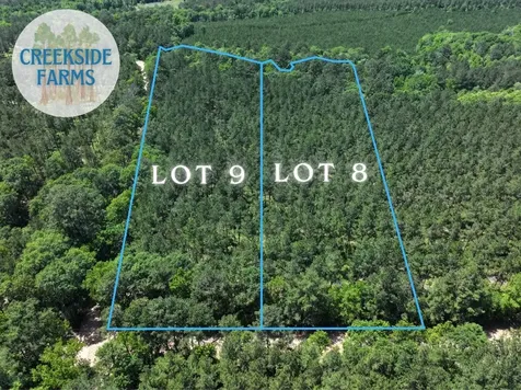 000 Morris Lane Livingston TX 77351