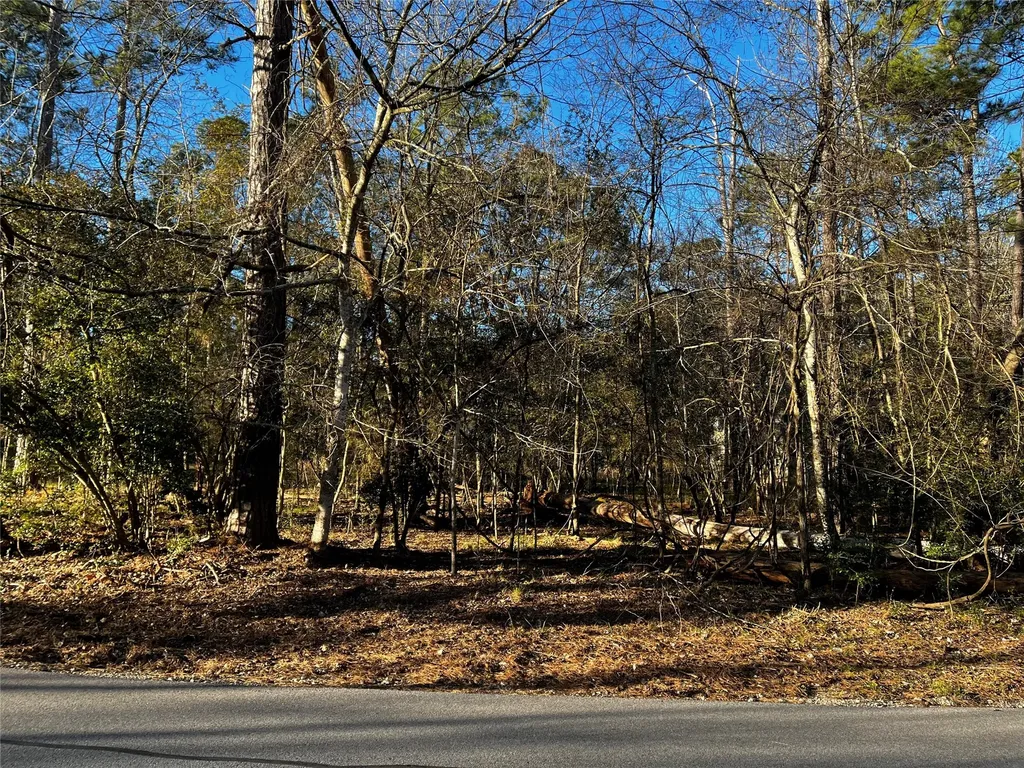 172 N Fairway Loop Coldspring TX 77331