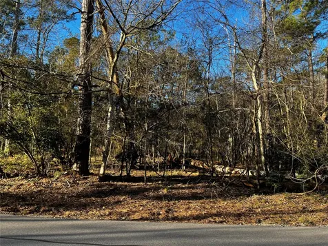 172 N Fairway Loop Coldspring TX 77331