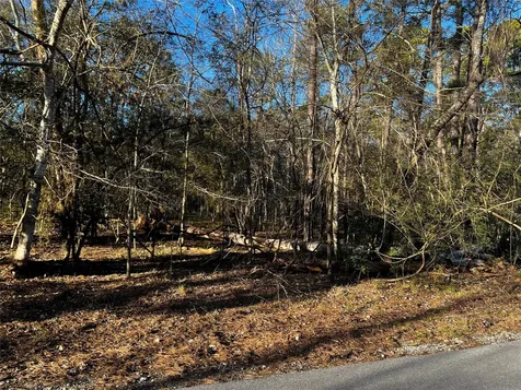 172 N Fairway Loop Coldspring TX 77331