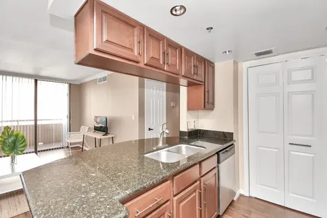 3525 Sage Road 1314 Houston TX 77056