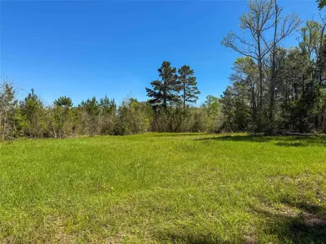 Tbd Fm 946 Coldspring TX 77331