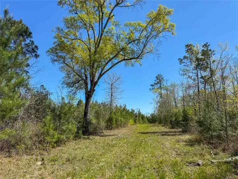 Tbd Fm 946 Coldspring TX 77331