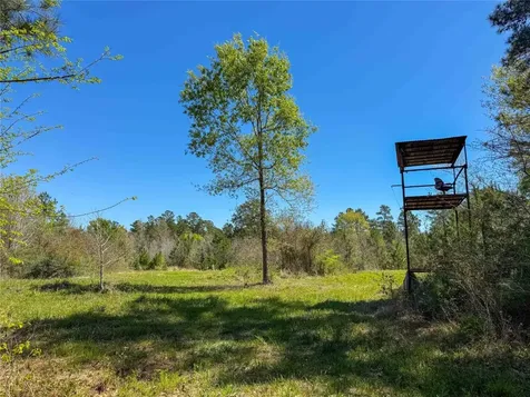 Tbd Fm 946 Coldspring TX 77331