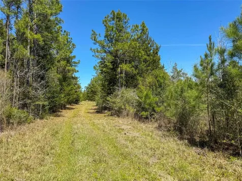 Tbd Fm 946 Coldspring TX 77331