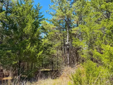 Tbd Fm 946 Coldspring TX 77331